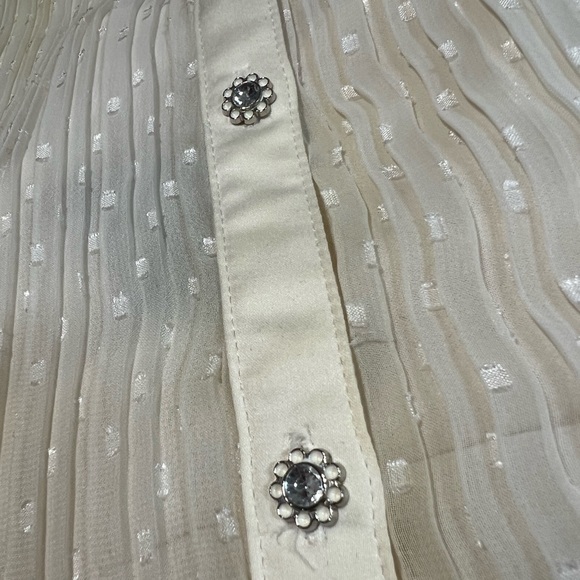 Lane Bryant Sheer Cream Pleated Blouse size 22/24 - Picture 10 of 16